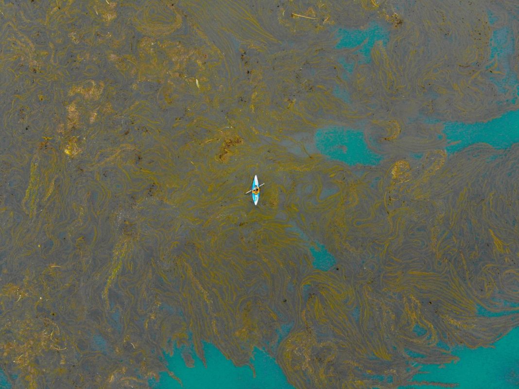 the deepwater horizon oil spill case study